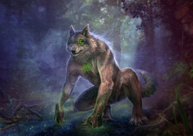 wilkołak