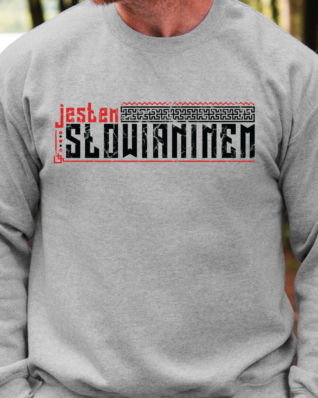 Jestem Słowianinem — Szary